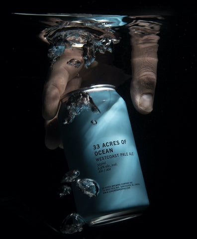 33 Acres - Ocean Pale Ale Cans