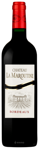 Chat. La Maroutine Bordeaux