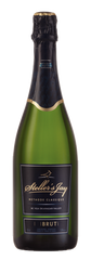 Stellars Jay Brut