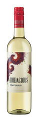 Bodacious Pinot Grigio