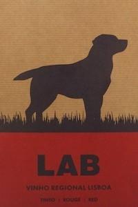 Casa Santos Lima Lab 3L
